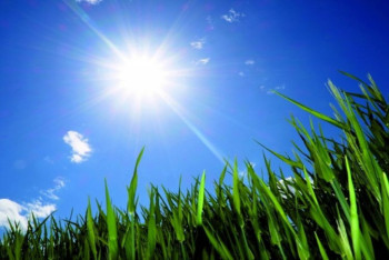 Фотография к новости: Жаркая погода без осадков сохранится на большей части Казахстана 1 июня