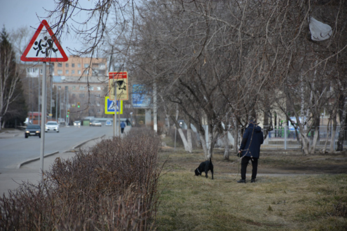polisia.kz. 