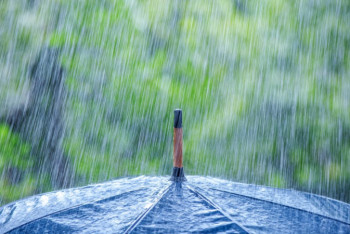 Фотография к новости: Дожди с грозами ожидаются в Казахстане 3 июня