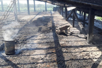 Фотография к новости: О подробностях пожара со взрывом рассказали в ДЧС Алматы