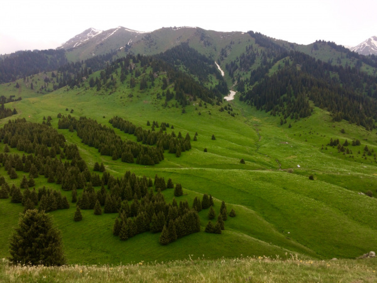 Сагинтаев попросил Мамина вернуть Кок-Жайлау в Иле-Алатауский нацпарк