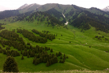 Фотография к новости: Сагинтаев попросил Мамина вернуть Кок-Жайлау в Иле-Алатауский нацпарк