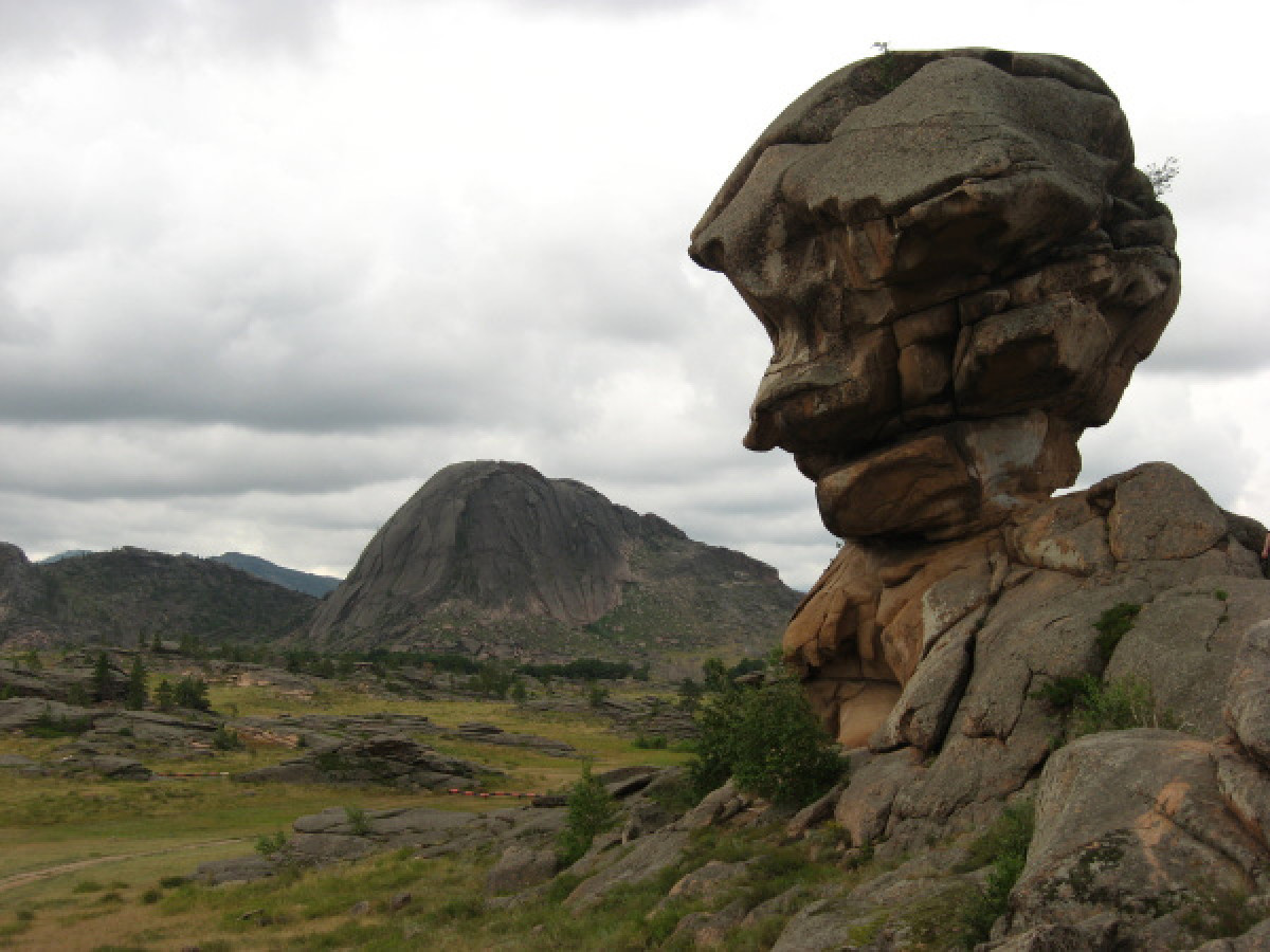 Еще у семи жителей Павлодарской области обнаружен коронавирус
