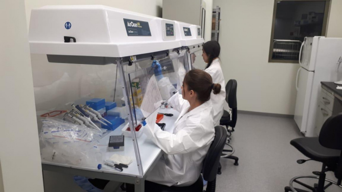 Зарегистрировано еще 245 случаев заражения коронавирусом в Казахстане