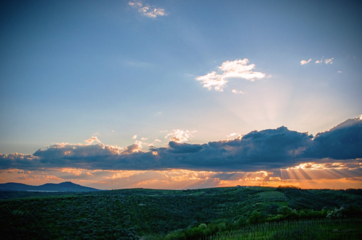 Иллюстративное: pixabay.com