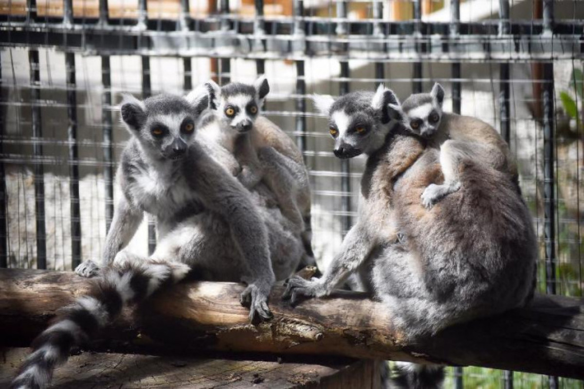 Иллюстративное: КазИнформ