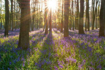 Фотография к новости: Какая погода ожидает казахстанцев 6 июня