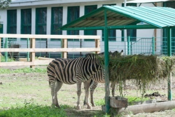 Фотография к новости: Открытие Алматинского зоопарка не состоялось из-за усиления карантина