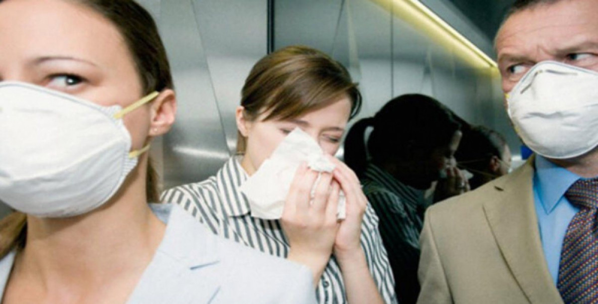 иллюстративное