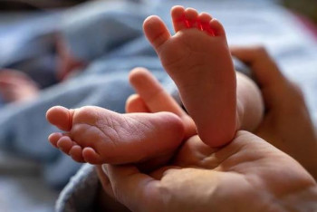 Фотография к новости: Завернутого в полотенце брошенного младенца нашли сельчане в Туркестанской области