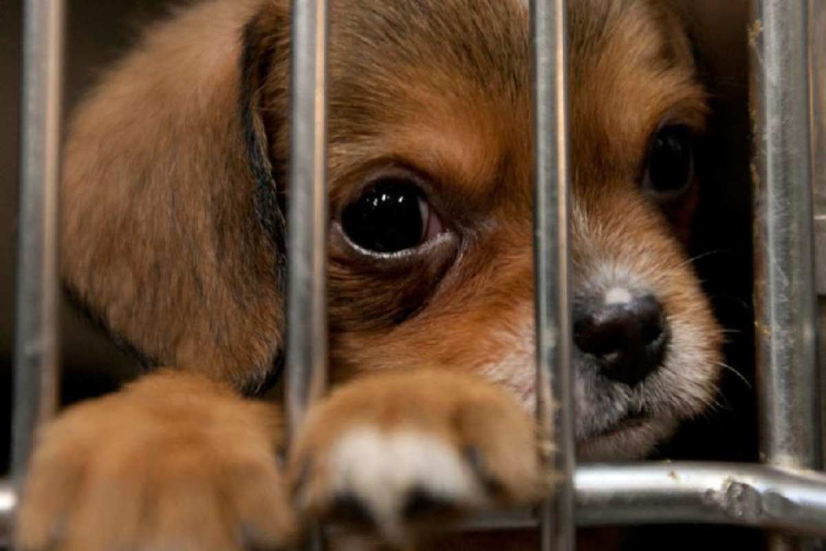 Иллюстративное: КазИнформ