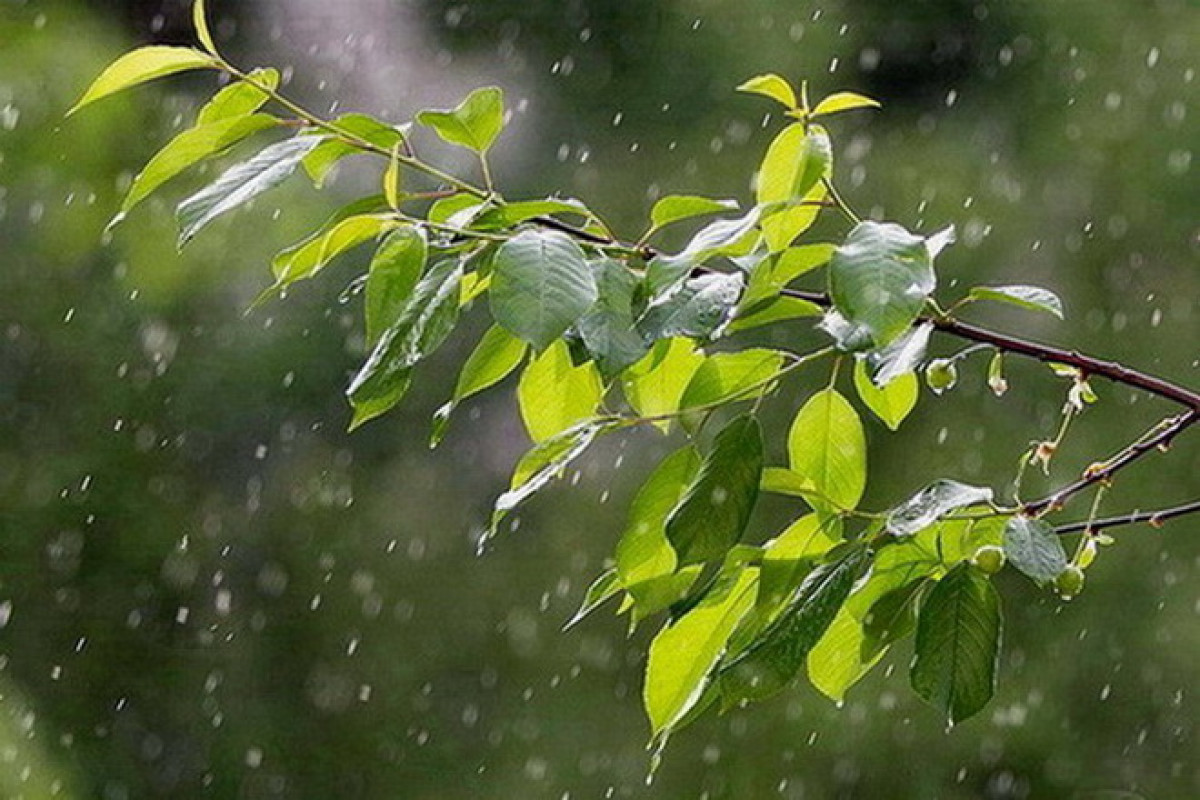 иллюстративное 