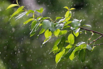 Фотография к новости: На большей части Казахстана ожидается неустойчивая погода