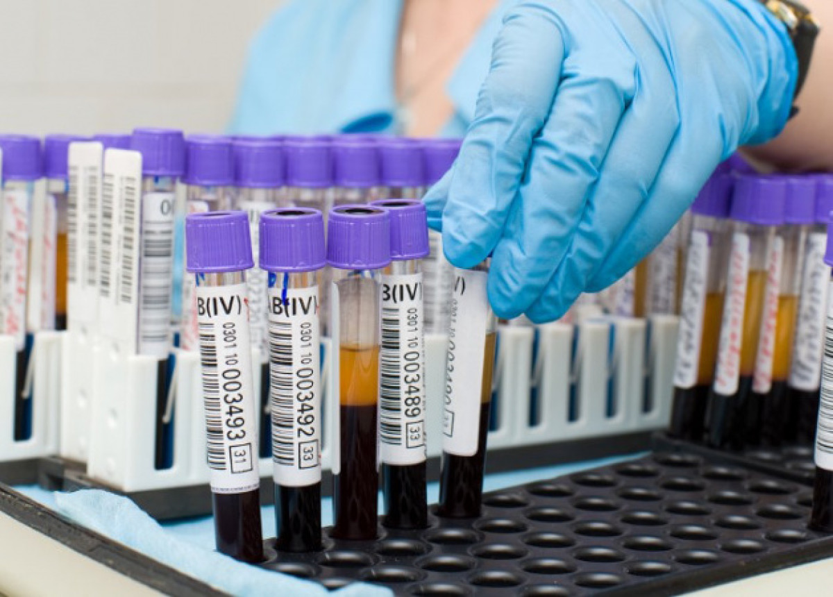 иллюстративное