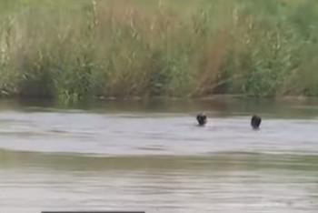 Фотография к новости: Воспитанник детской деревни утонул в Костанае