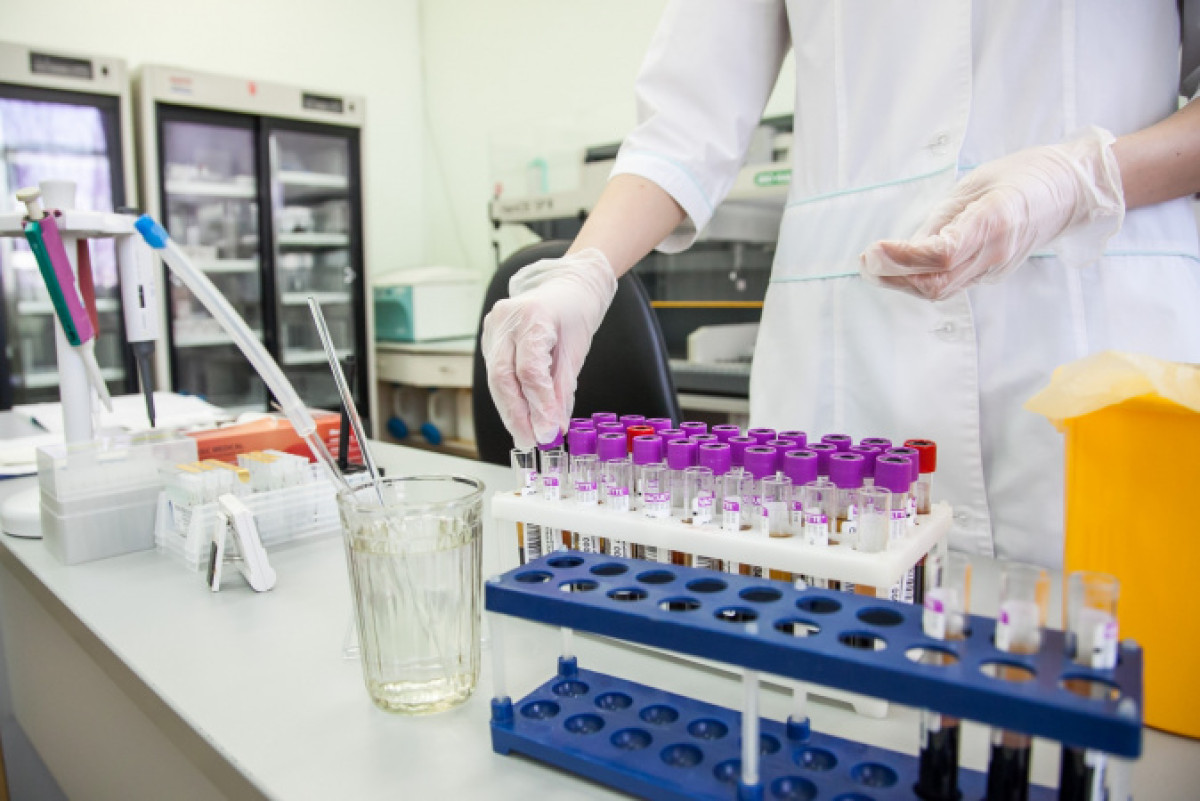 иллюстративное