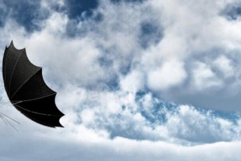 Фотография к новости: Штормовое предупреждение объявлено в шести областях Казахстана 15 июня