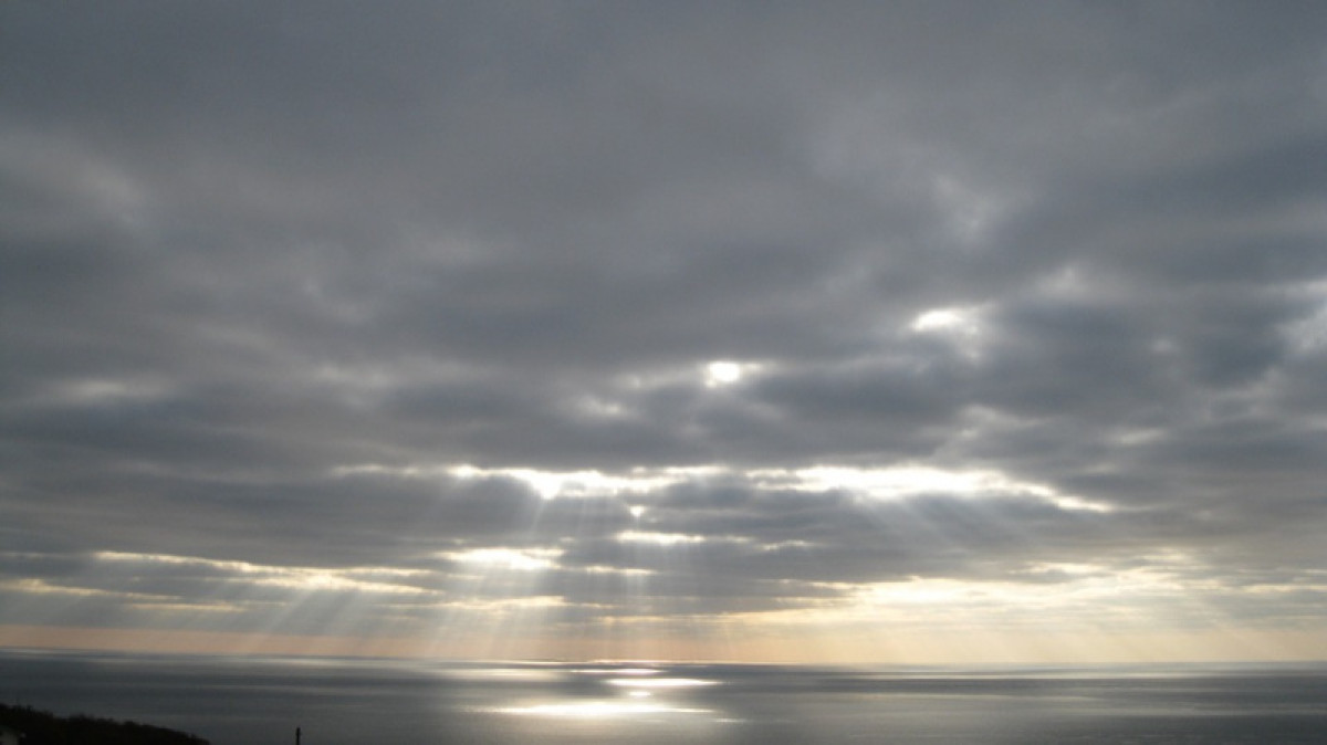 иллюстративное: pixabay.com