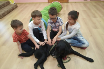 Фотография к новости: "Лапа помощи". Как работает центр канистерапии в Караганде