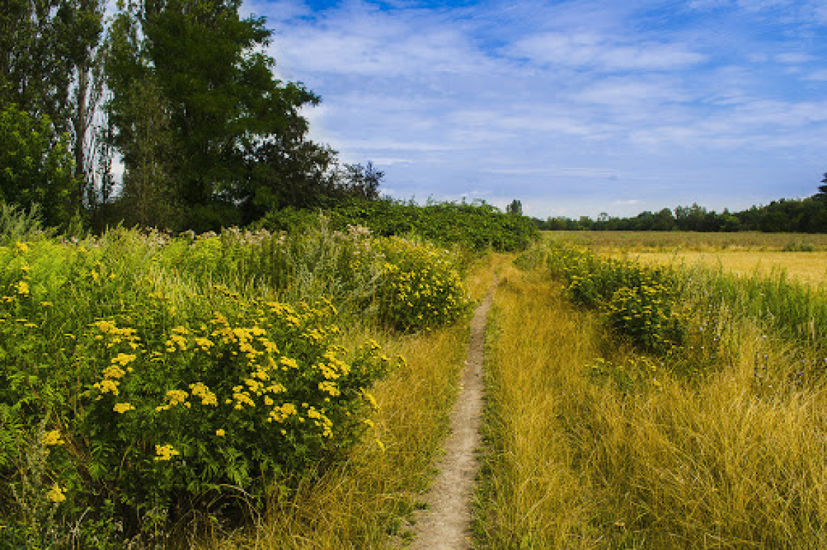 Июль будет солнечным и жарким – Казгидромет