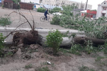 Фотография к новости: Семь человек пострадали во время урагана в Аягозском районе, объявлена ЧС – аким ВКО