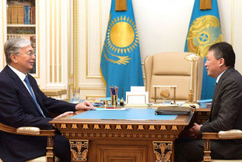 Фотография к новости: Кулибаев доложил Токаеву о пострадавшем бизнесе