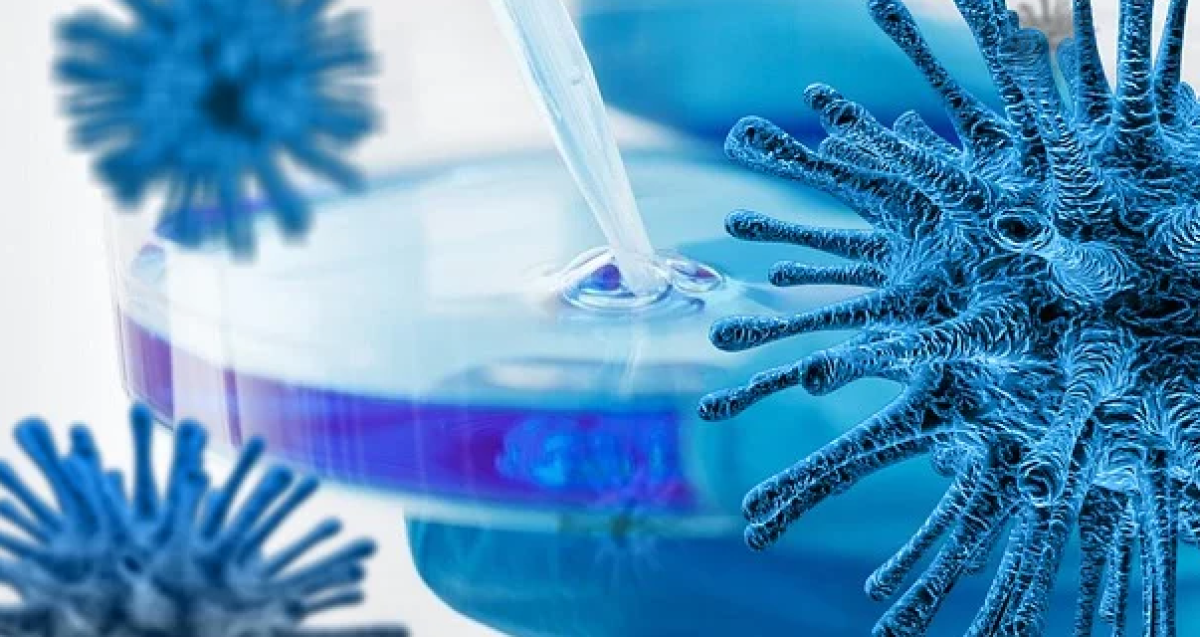 иллюстративное 