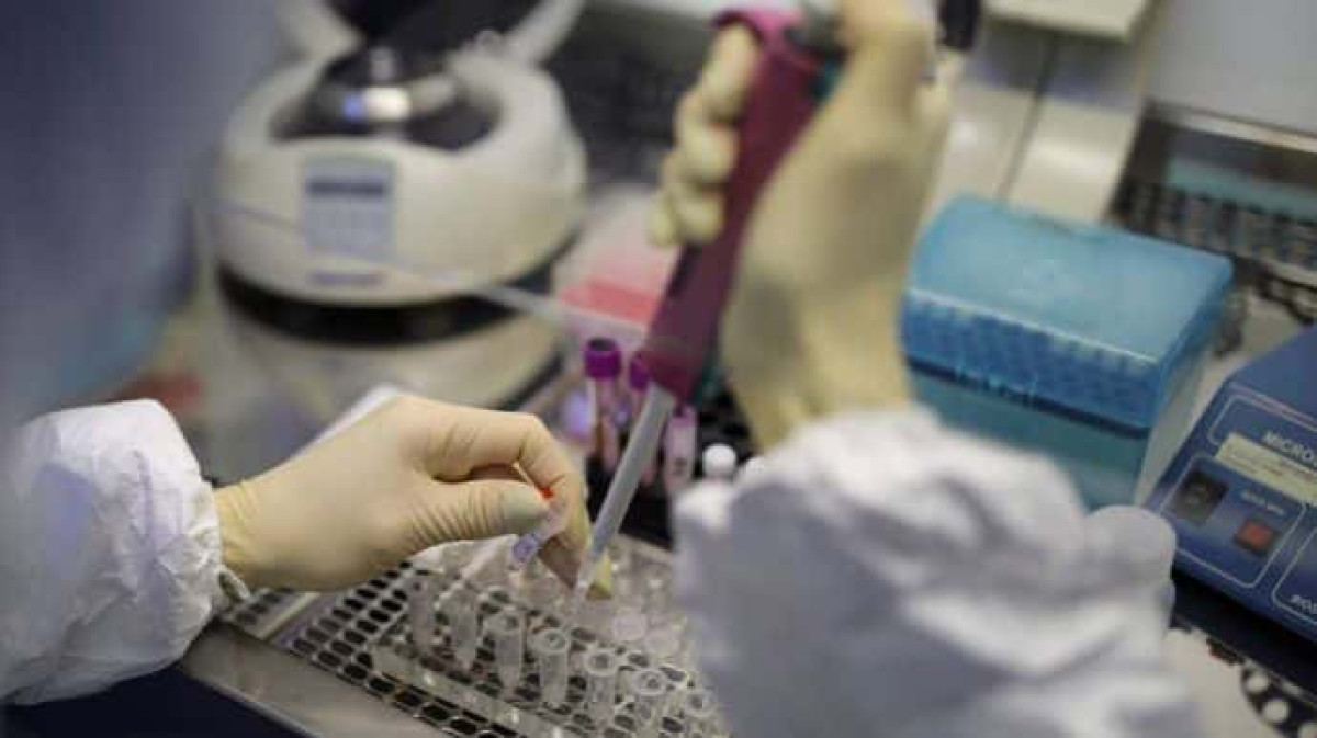 иллюстративное