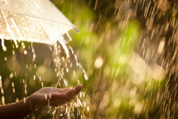 Фотография к новости: Дожди с грозами ждут казахстанцев 21 июня