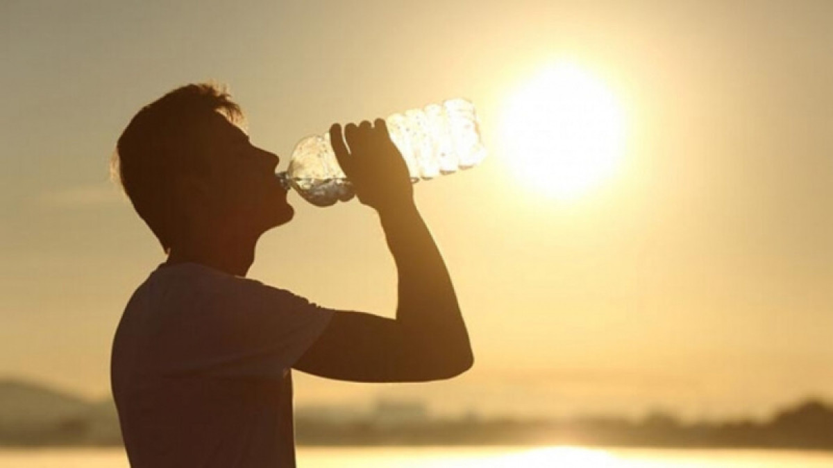 иллюстративное 