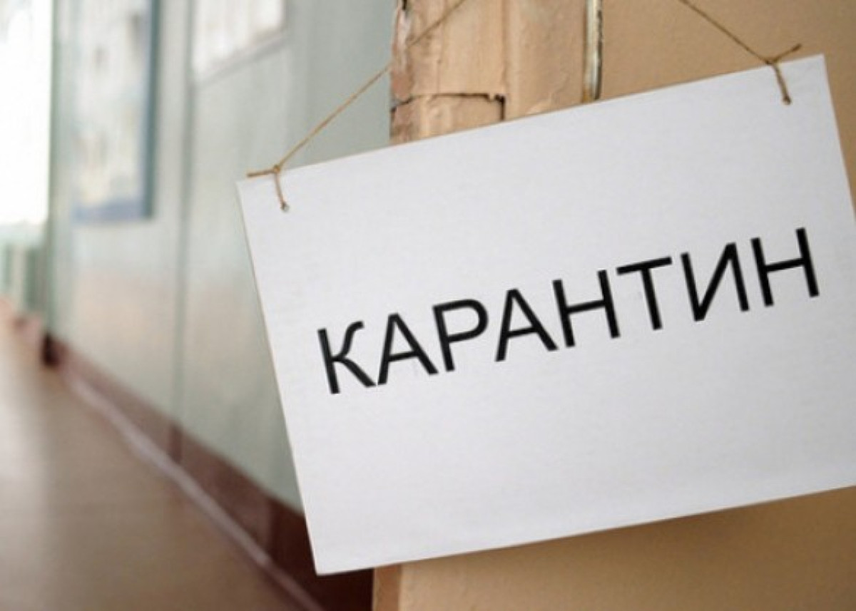 иллюстративное
