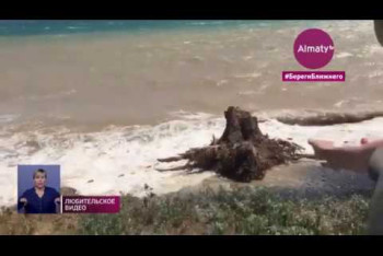 Фотография к новости: Озеро Алаколь выходит из берегов: местные жители бьют тревогу