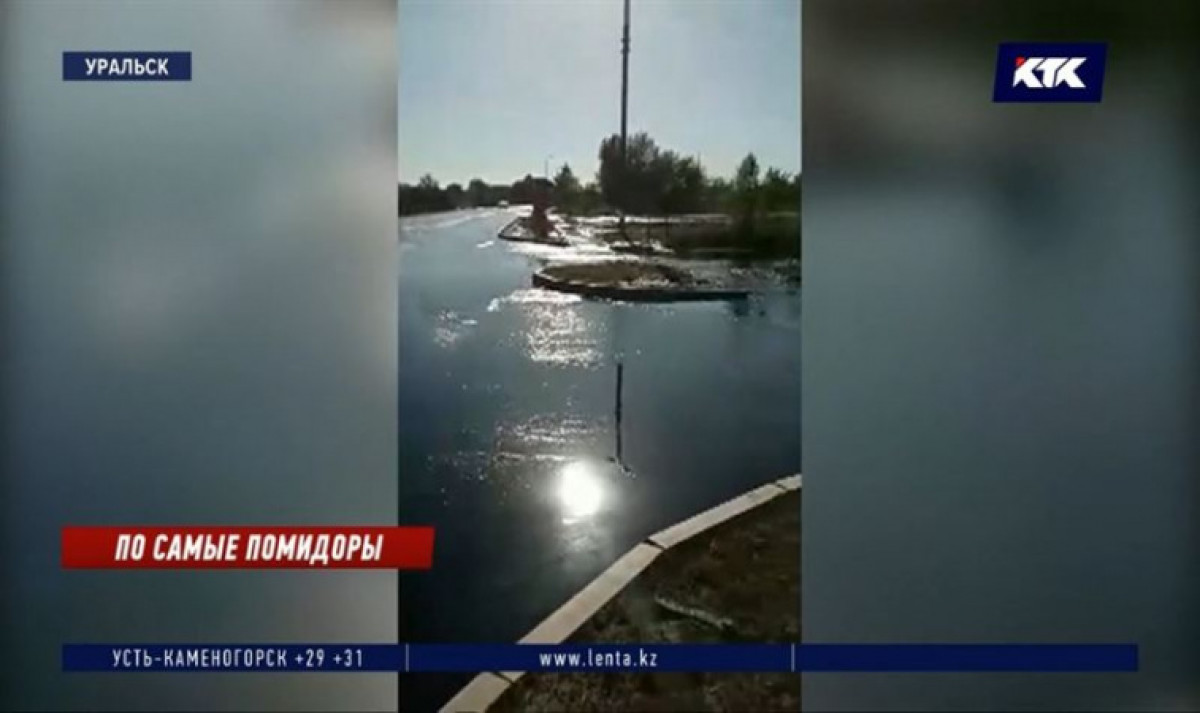 кадр из видео