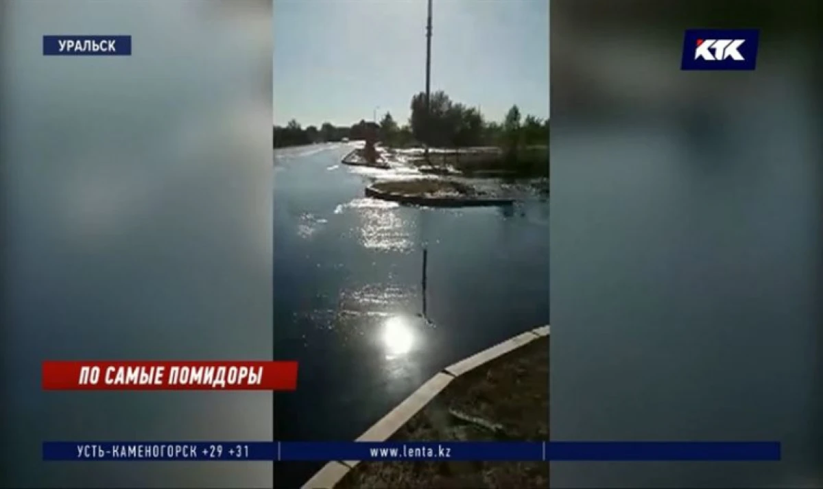 кадр из видео