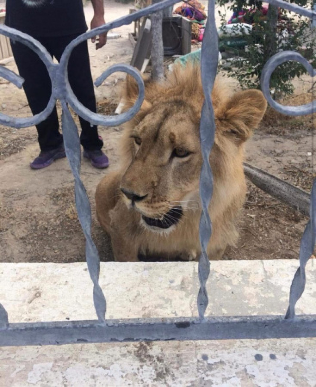 instagram.com/sakendildakhmet