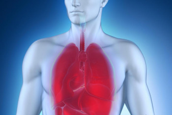 Фотография к новости: "Загадочная" болезнь в Актобе: тесты на КВИ отрицательные, но у больных все признаки COVID-19