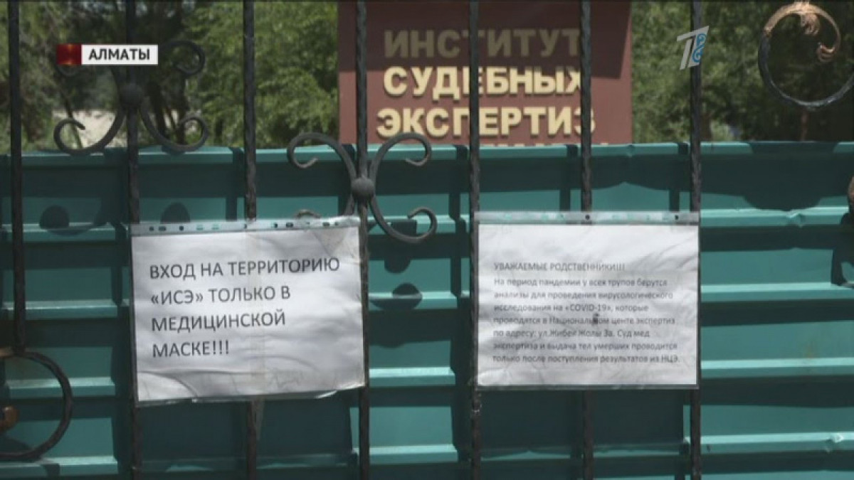 кадр из видео 