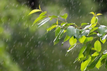 Фотография к новости: Какая погода ожидается в Казахстане 28 июня