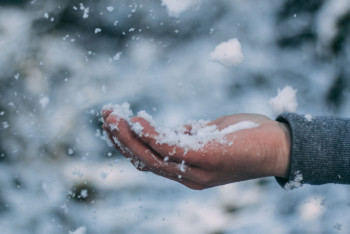 Фотография к новости: В Сети появилось видео снегопада в Жамбылской области