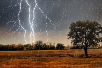 Фотография к новости: На большей территории Казахстана ожидаются дожди с грозами 29 июня