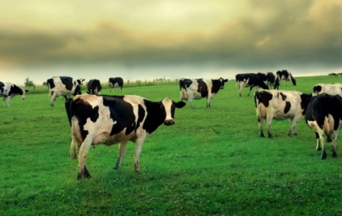 agronomu.com