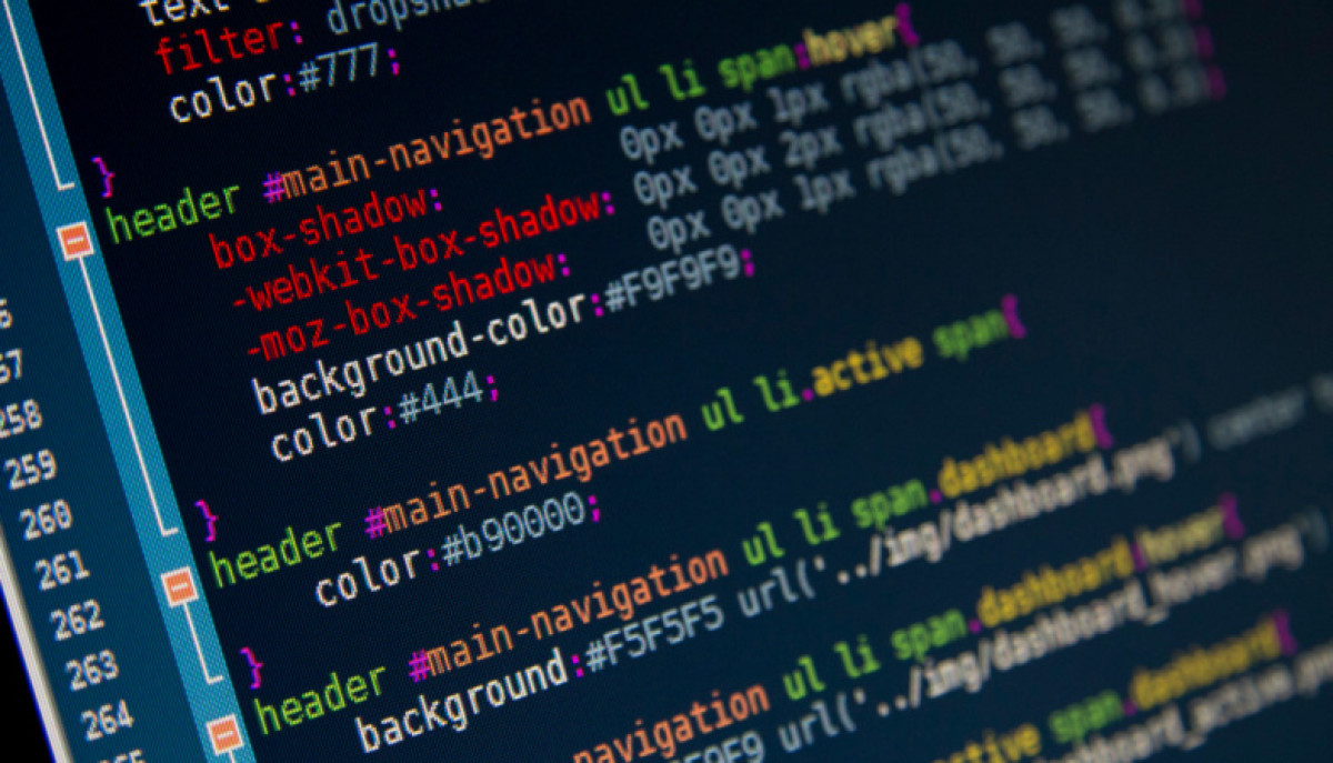 Казахстанские школьники будут изучать языки кодирования с первого класса