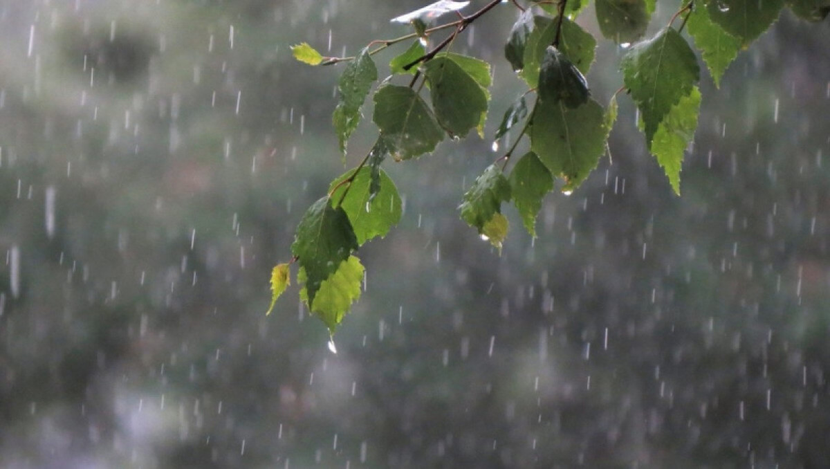 иллюстративное