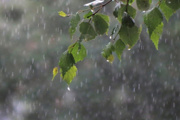 Фотография к новости: Дожди с грозами и порывистый ветер ожидаются в Казахстане в ближайшие дни