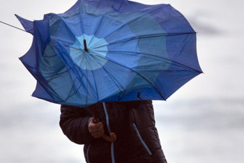 Фотография к новости: Держаться подальше от опасных конструкций при сильном ветре советуют жителям девяти регионов РК