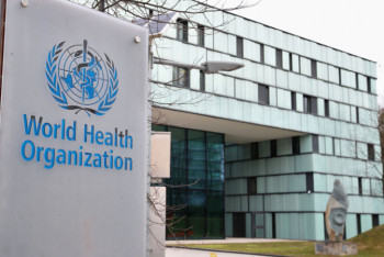 Фотография к новости: О новом штамме свиного гриппа рассказали в ВОЗ