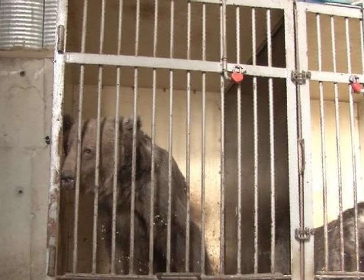 Павлодар Тoday