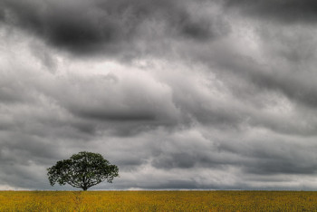 Фотография к новости: Какая погода ожидается в Казахстане 4 июля