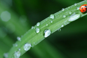 Фотография к новости: Переменная облачность и небольшие дожди ожидаются на большей территории РК 5 июля