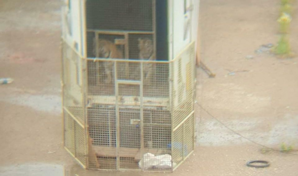 facebook/@inucobo.kz